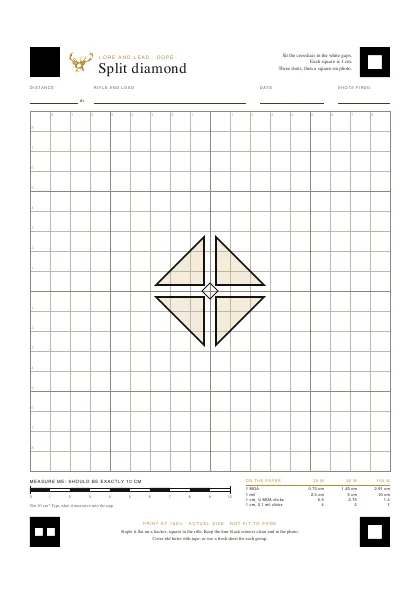 The split diamond: a diamond cut into four by white channels along the crosshair lines, on a 1 cm grid