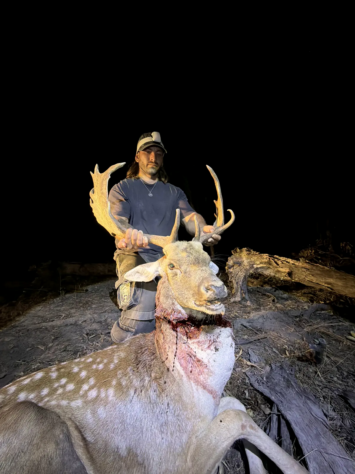 A big fallow buck taken at night, held up by the antlers