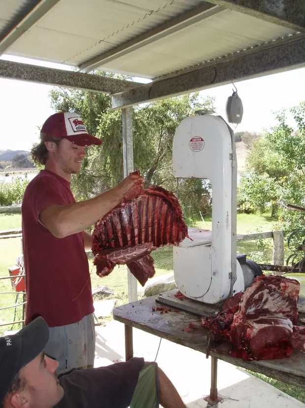 Cutting ribs on the bandsaw