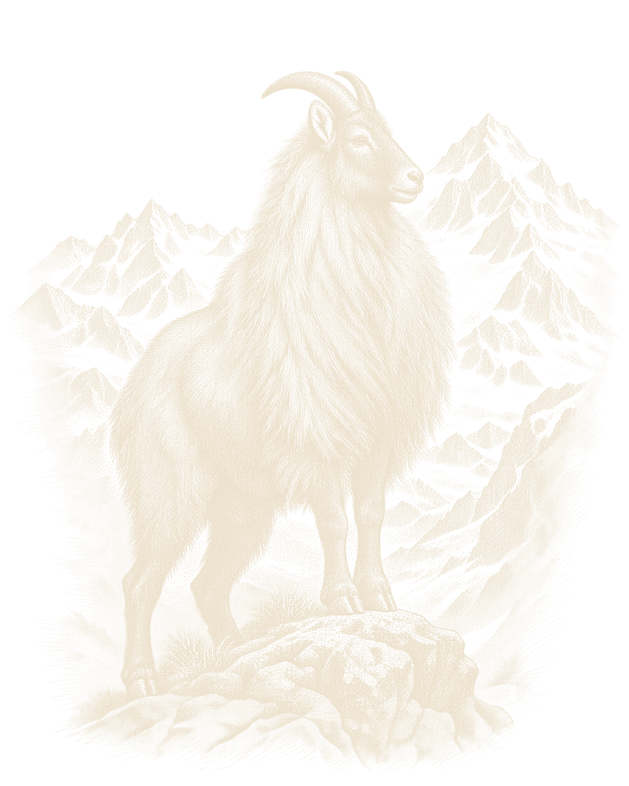 An engraving of a bull tahr in his winter mane standing on a rock, with snow peaks behind him