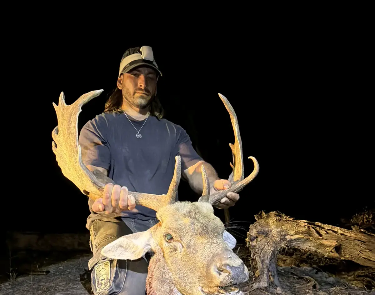 A hunter at night holding up the long palmed antlers of a big fallow buck